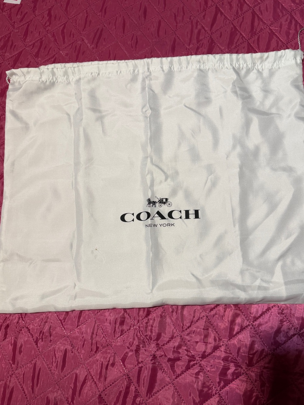 Coach Satin Dust Bag